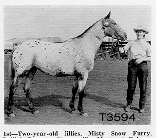 mistyssnowfurryt3594