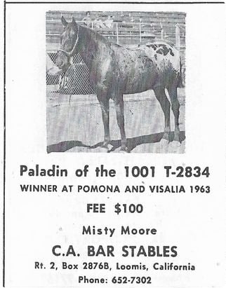 paladinofthe1001