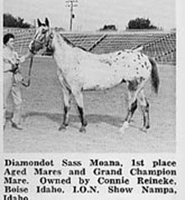 DiamondotSassMoana