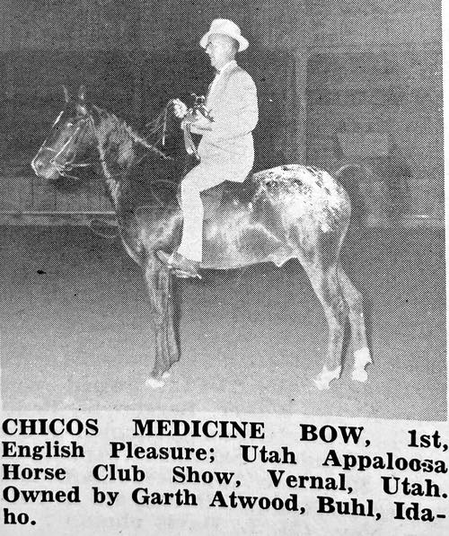 chicos medicine bow