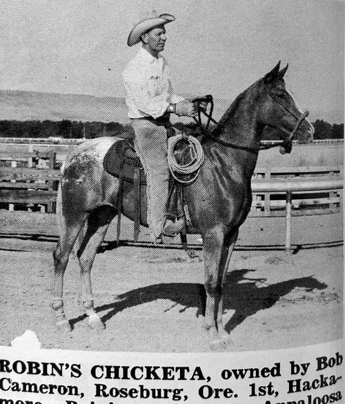 robins chicketa