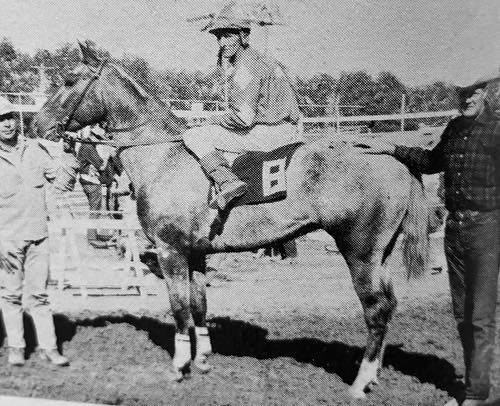 tinkys big iron