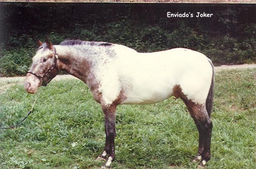 EnviadosJoker