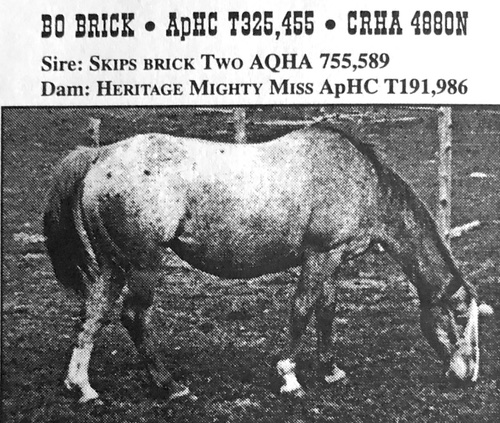 bobrick