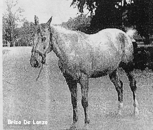 brisa de lanzo