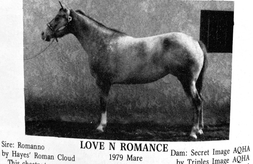 love n romance