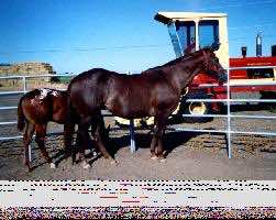 shesamightylass