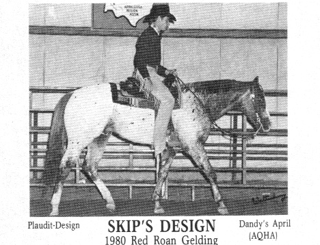 skipsdesign
