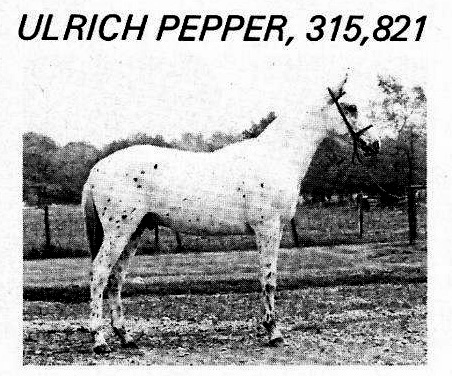 ulrichpepper
