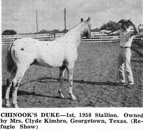 ChinooksDuke