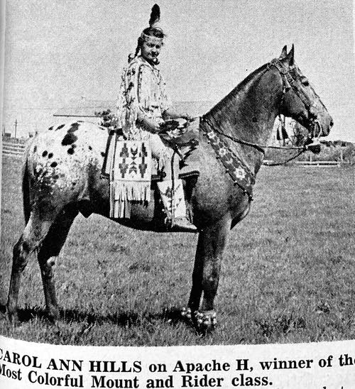 apache h