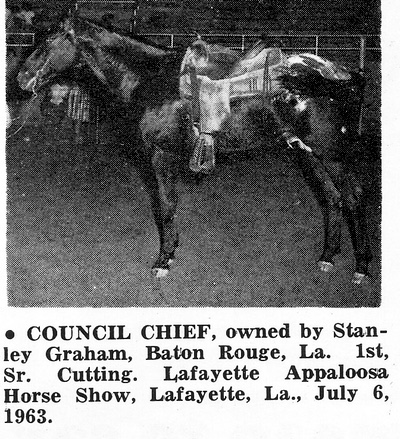 councilchieft8181