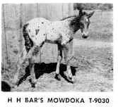 hhbarsmowdoka9030