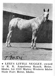 litzlittlenugget9054b