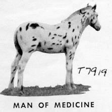 manofmedicine7919