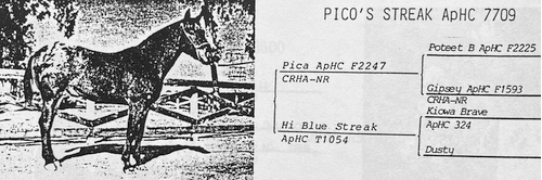 pico's streak