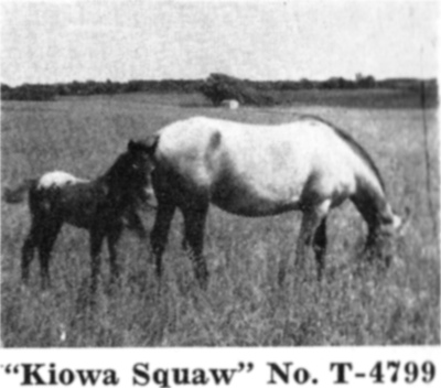 pvfskiowasquawt4799