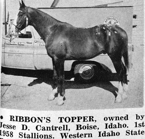ribbons topper