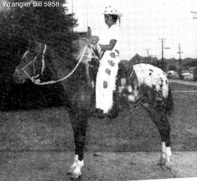 wranglerbill5958