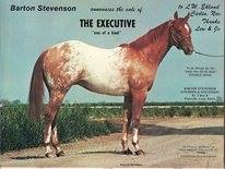 theexecutivecolor 3