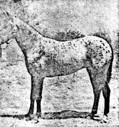moneycreekssunagain2